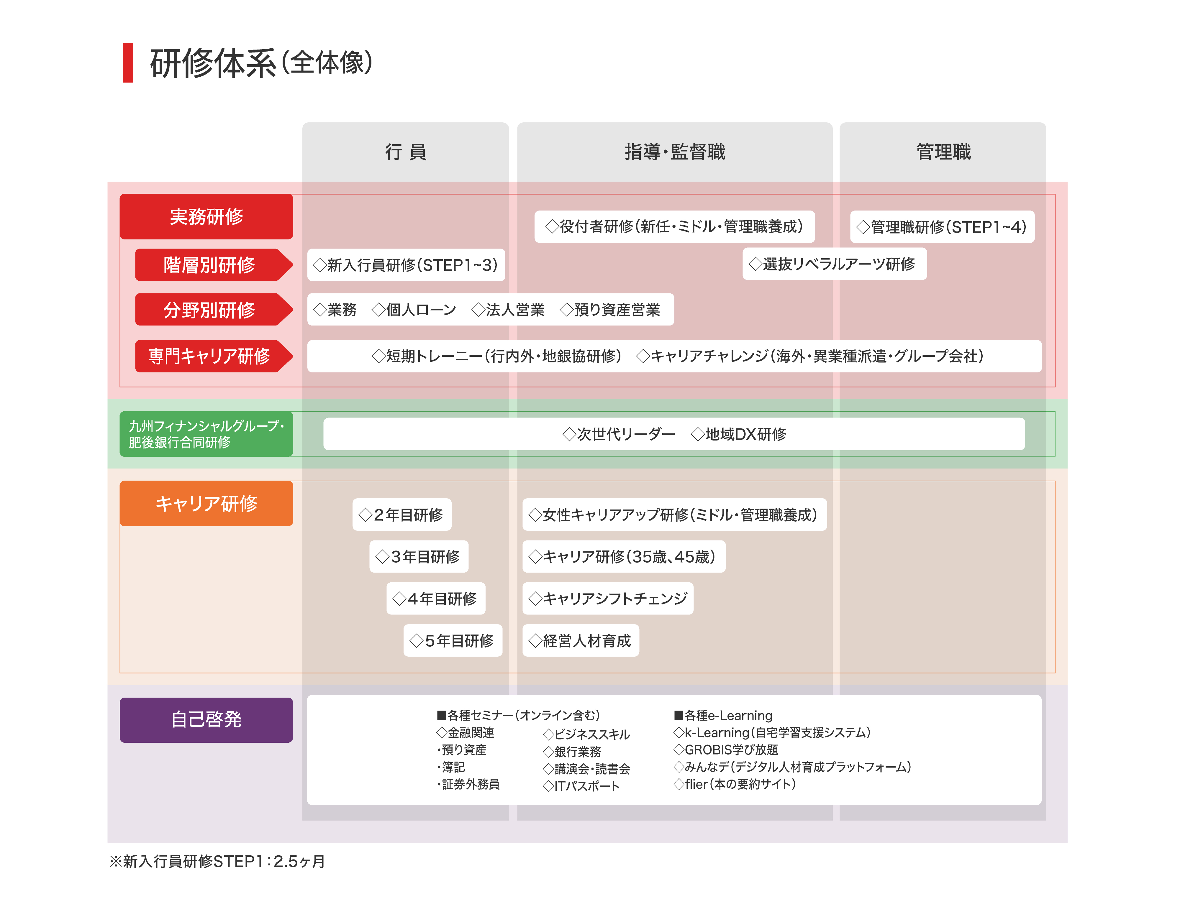 研修体系（全体像）